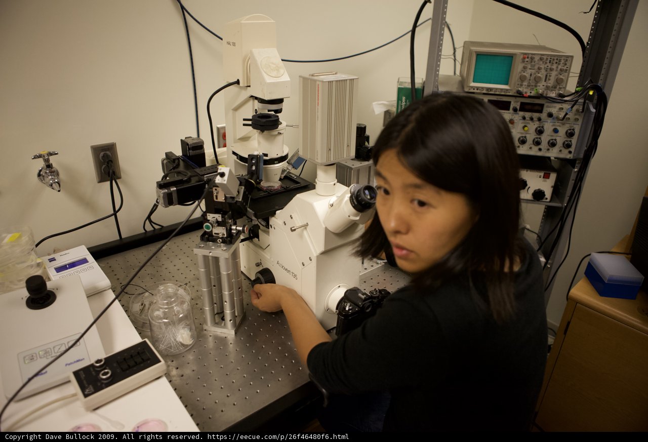 Examining the Microscopic World