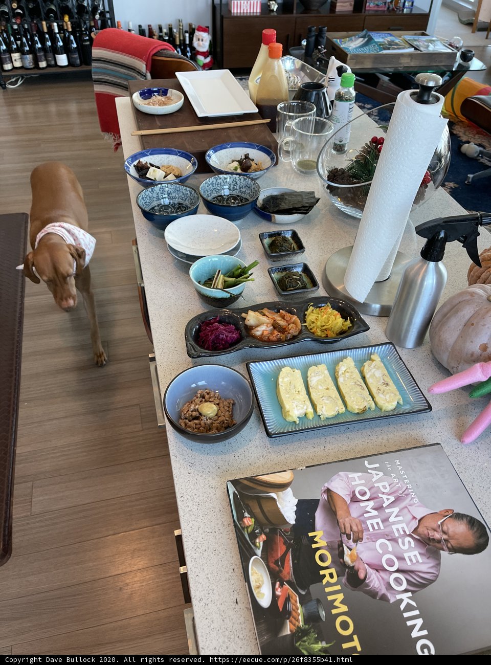 Furry Brunch Guest