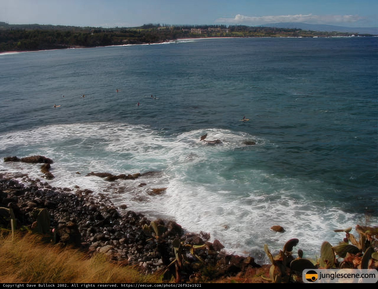 Overlooking the Majestic Sea