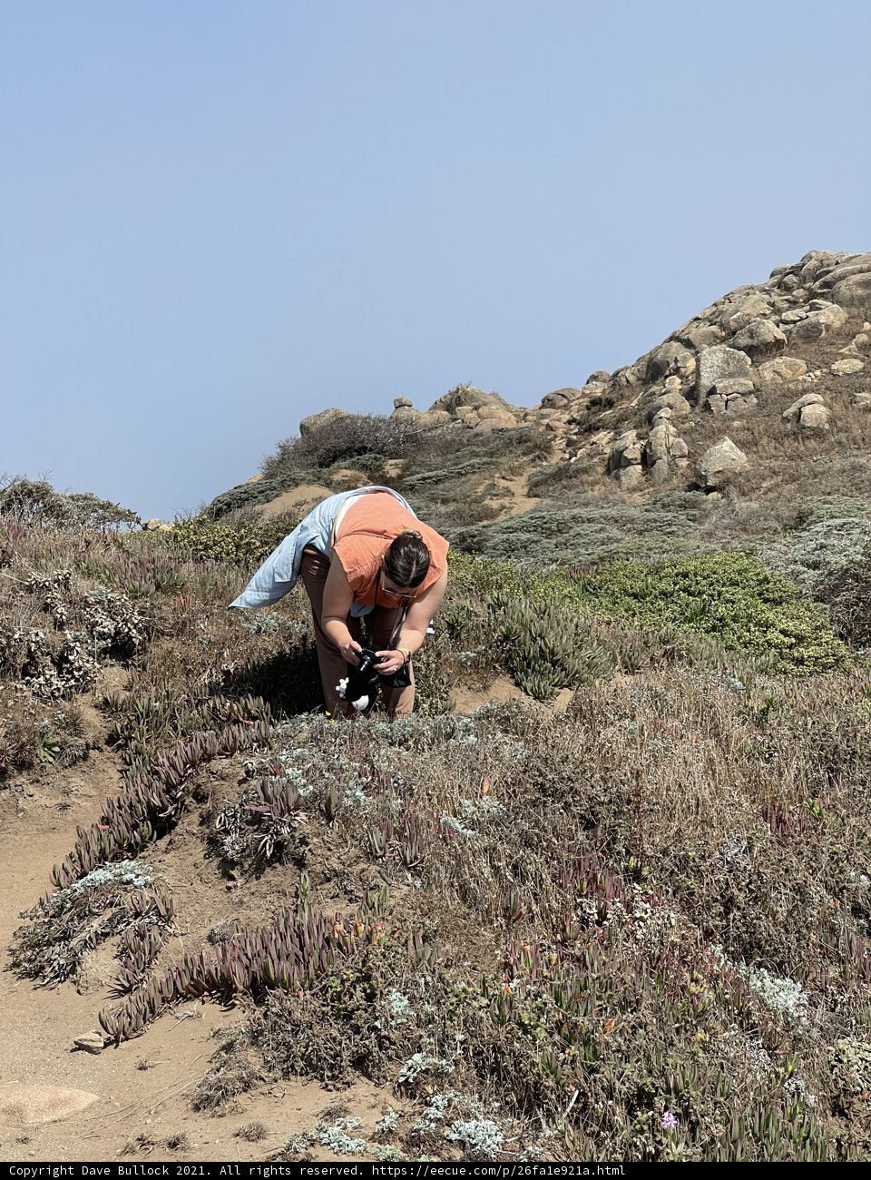 The peaceful kneeling man atop Jenner Hills