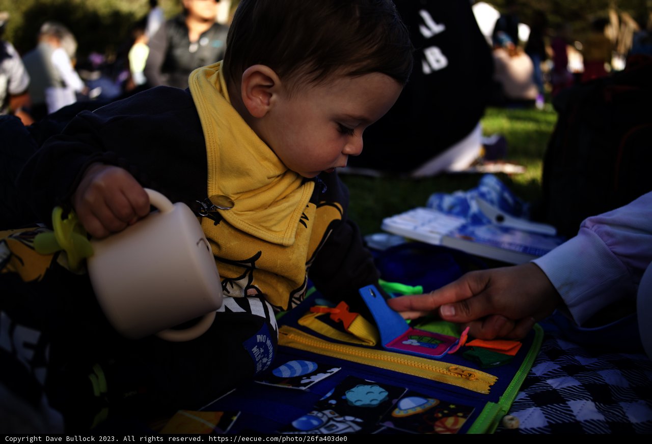Sunset Reading Adventure at SF Zoo, 2023
