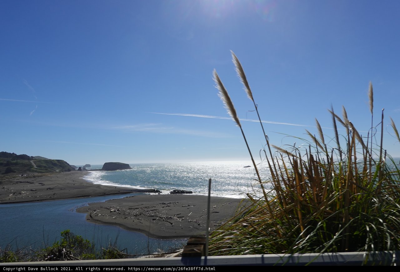 The Serene Coastline