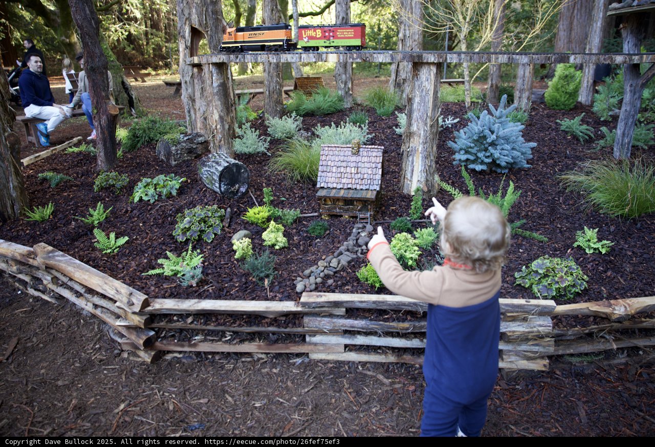 Whimsical Gardens and Miniature Trains