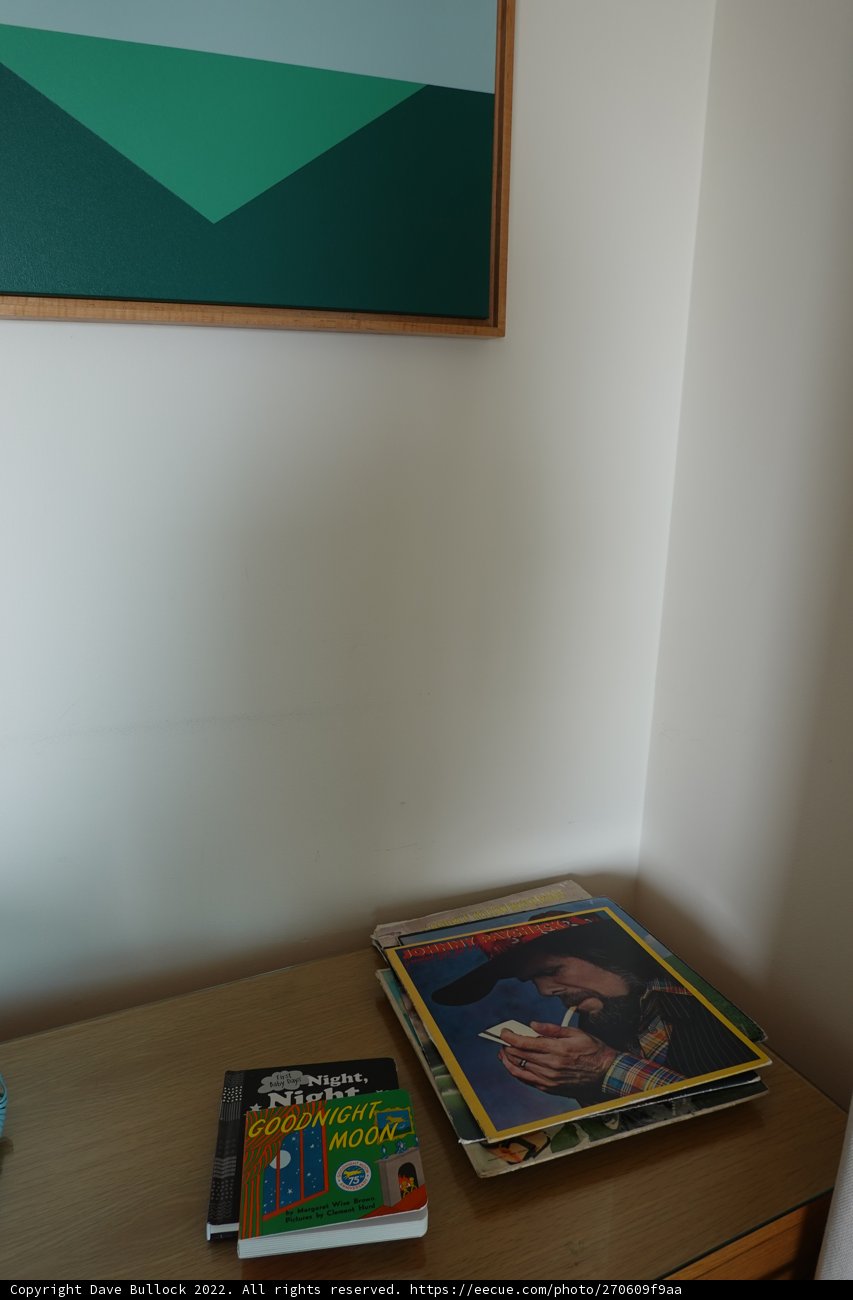 Johnny Paycheck: A Moment of Literature and Art