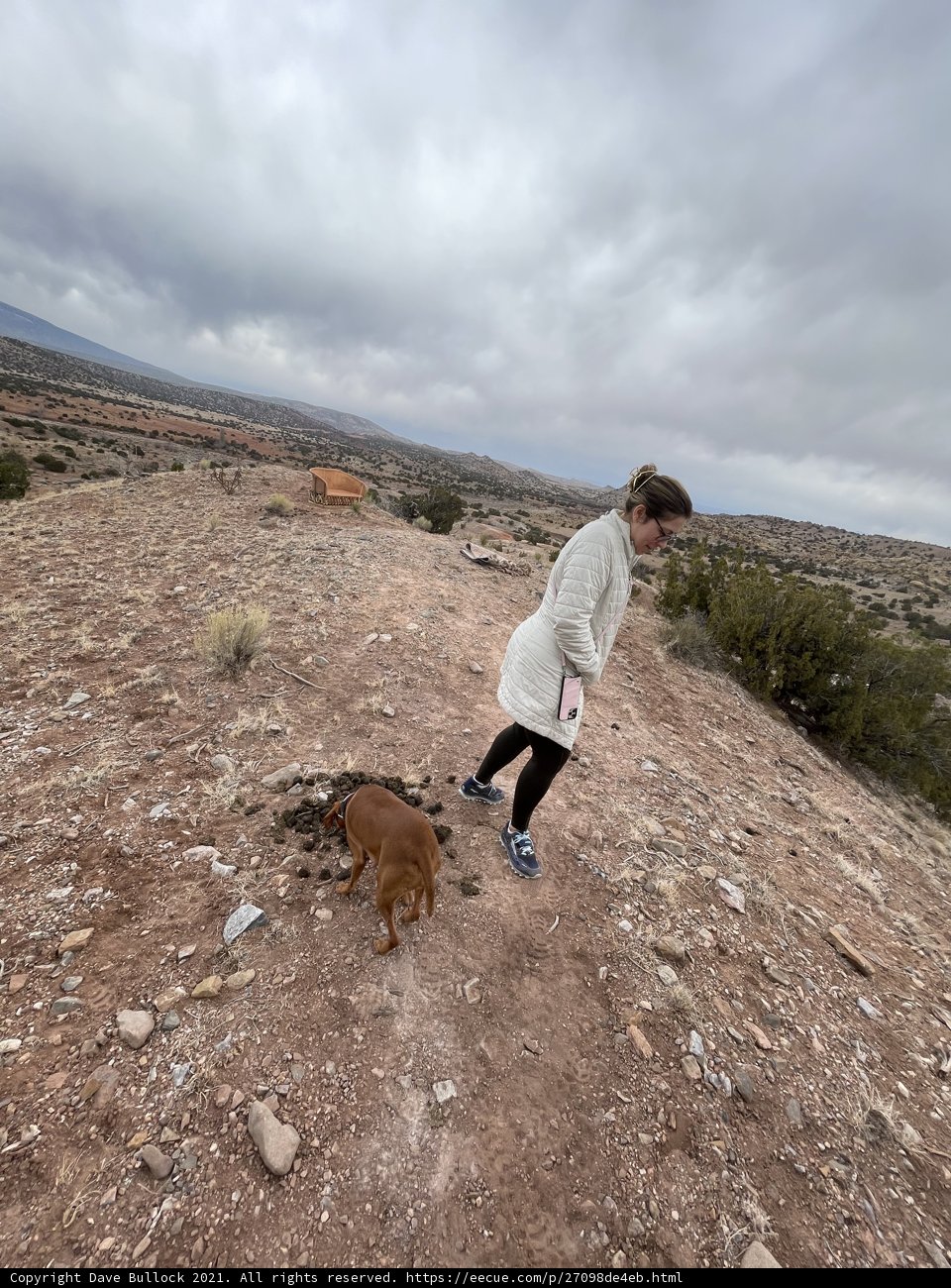 A Woman and Her Canine Companion Explore the Trails in Sandia Park