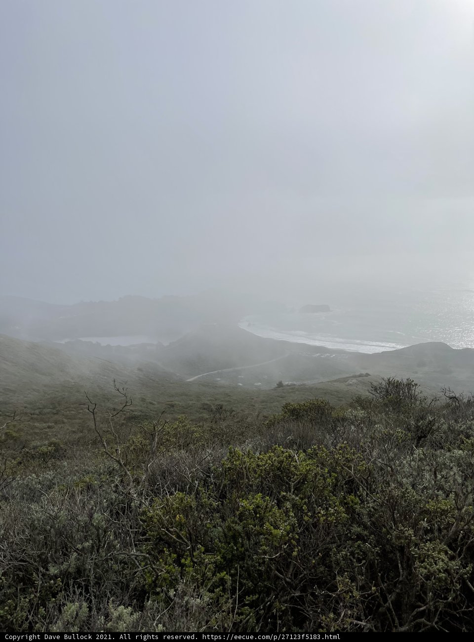 Mystical Haze