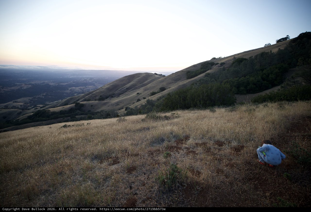 Child Explores Golden Hillside at Mount Diablo Dusk