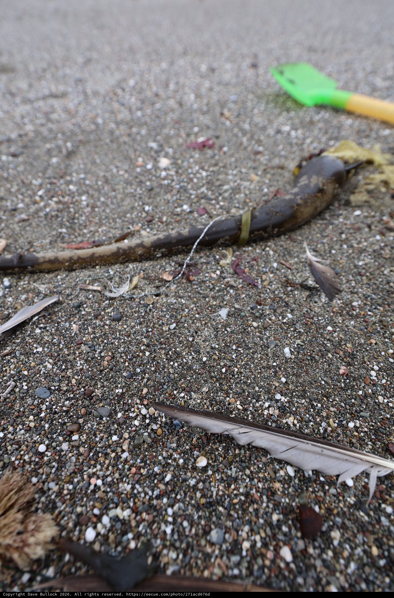 Beach Debris and Toy Spade on Sandy Shore