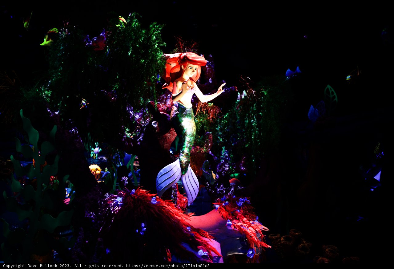 Enchanting Night at Disneyland