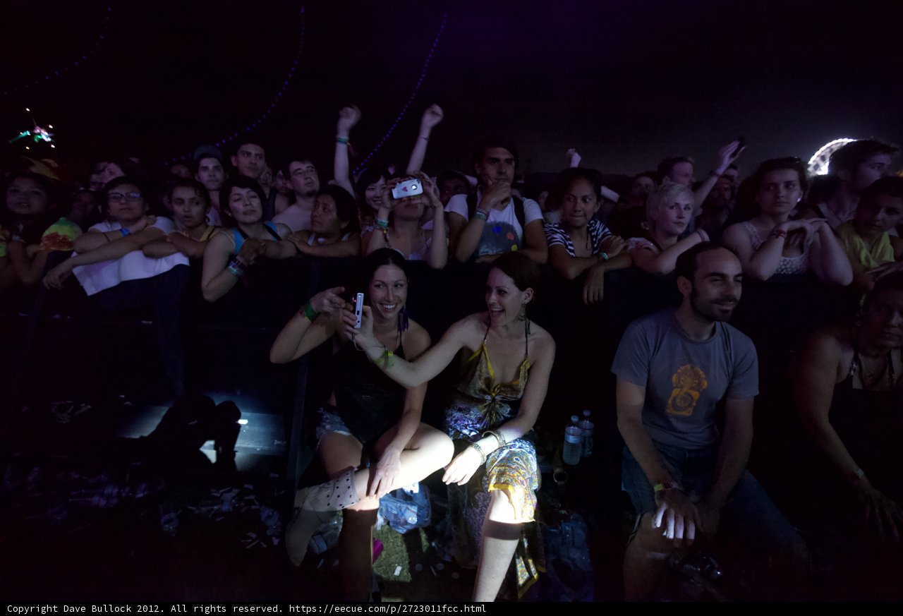 Moonlit Crowd at Coachella Concert