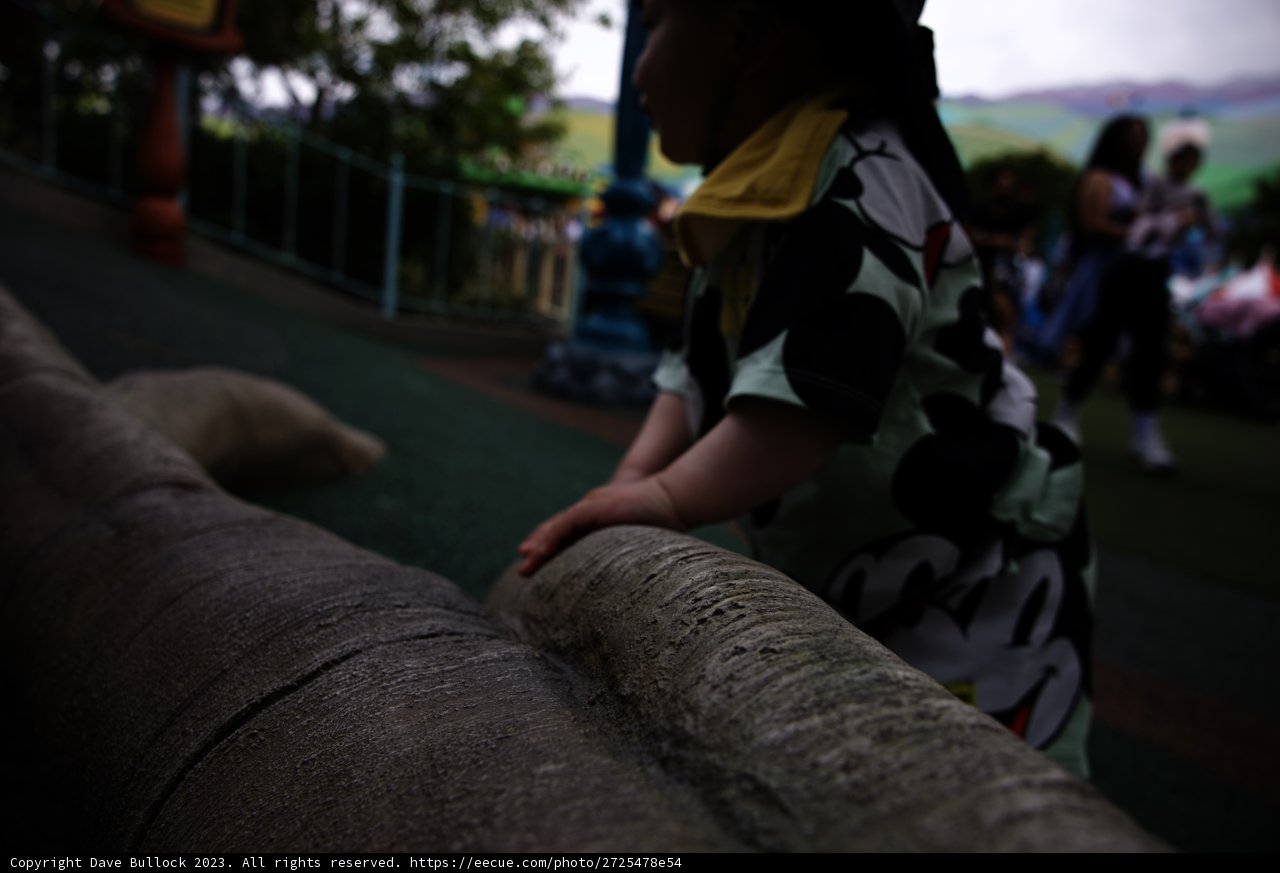 Magical Moments at Disneyland