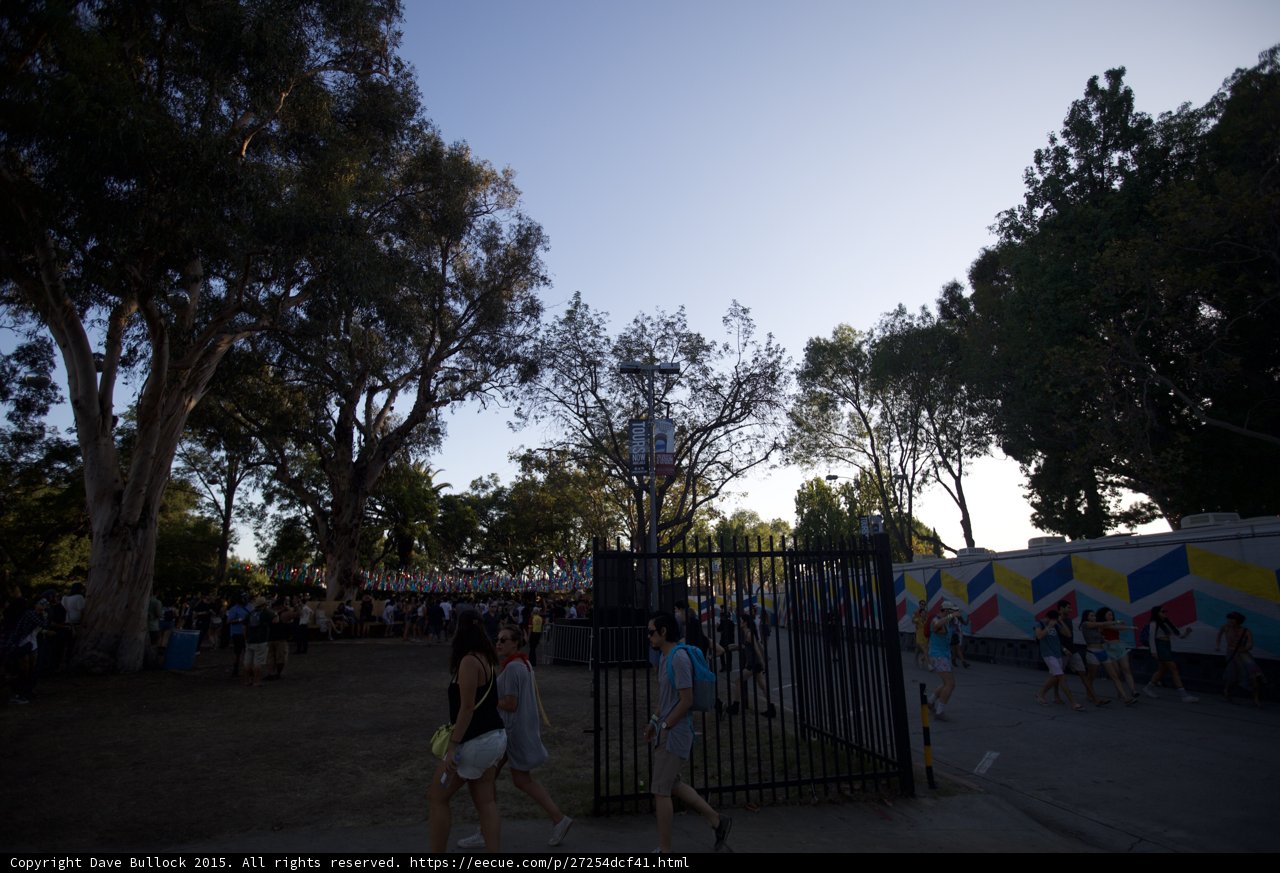 Festival Grounds Evening