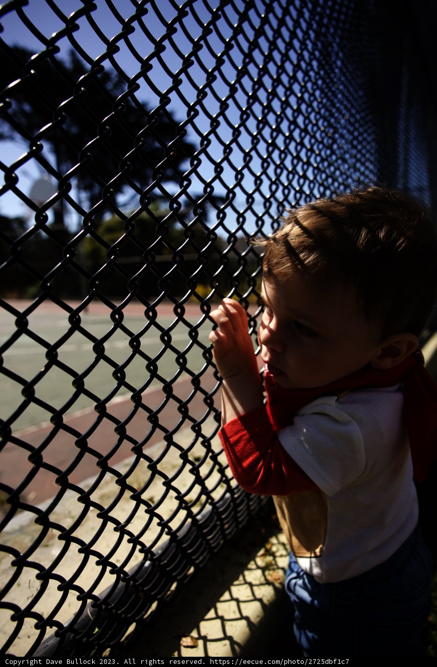 Hugs for the Fence