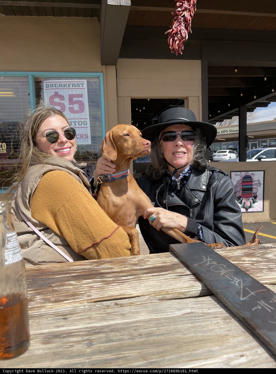 Two Women and a Pup Enjoy a Day by the Waterfront