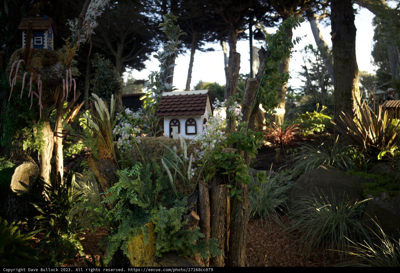 Enchanting Miniature Garden Retreat