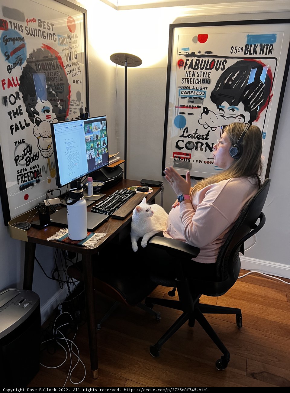 Productive Purrfectness