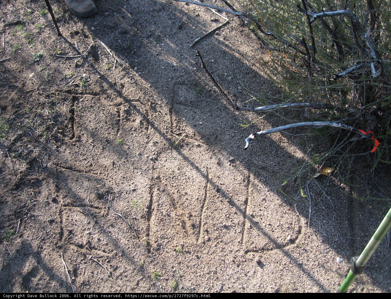 Stick in the Soil