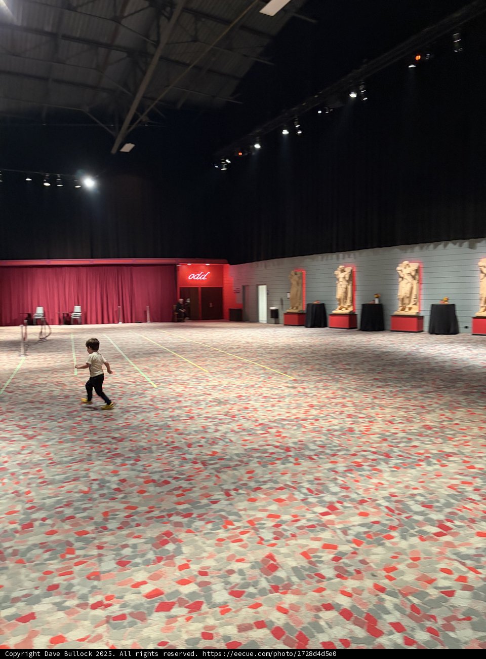 Echoes of Play in a Grand Hall