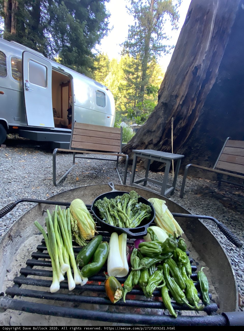 Grilling Outdoors with Fresh Produce