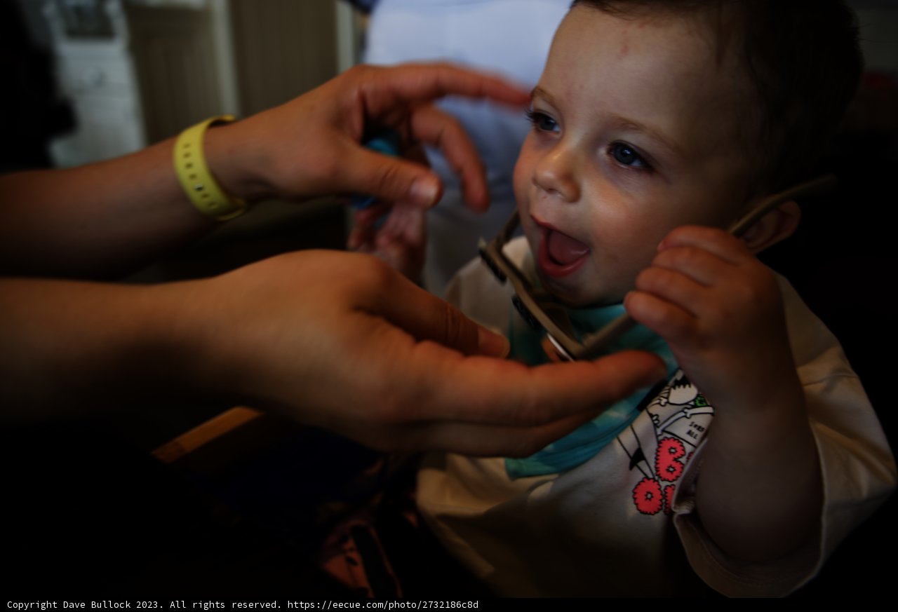 Cherished Feeding Moment