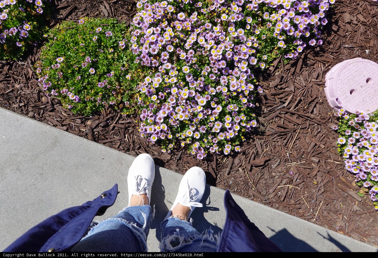 Shoes on the Sidewalk