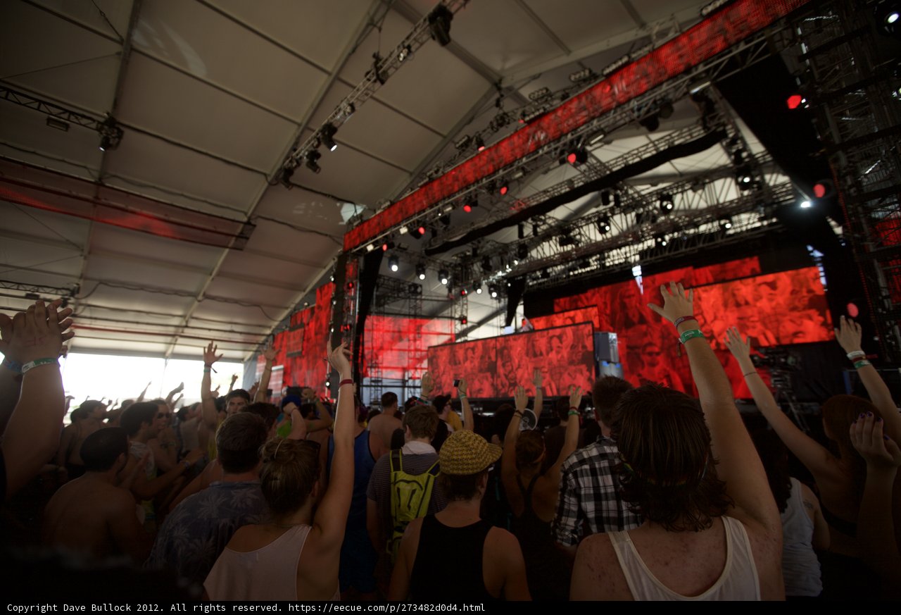 Hands Up in the Crowd