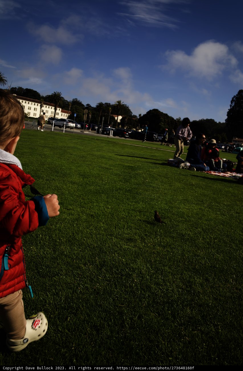 Childhood Wonder at Presidio, 2023