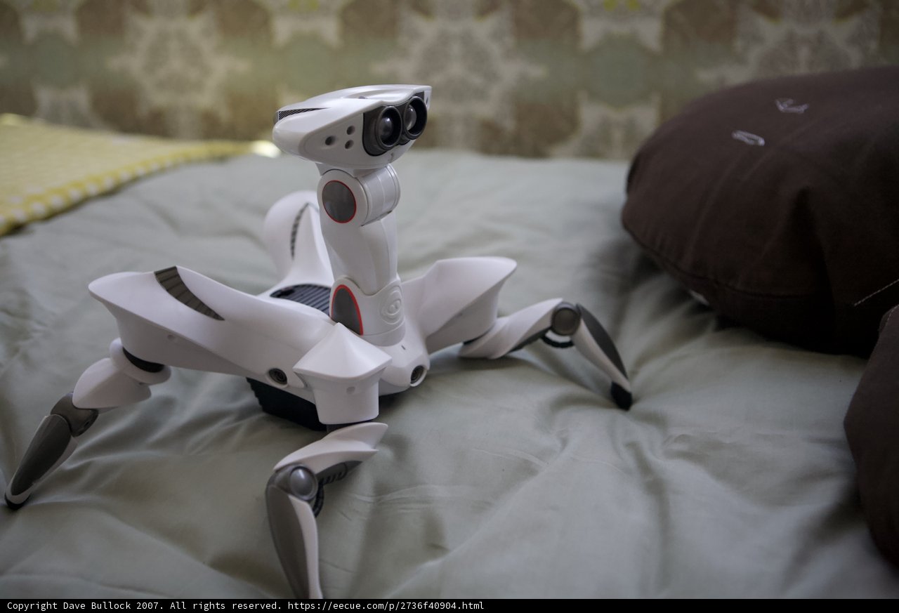 Resting Robot