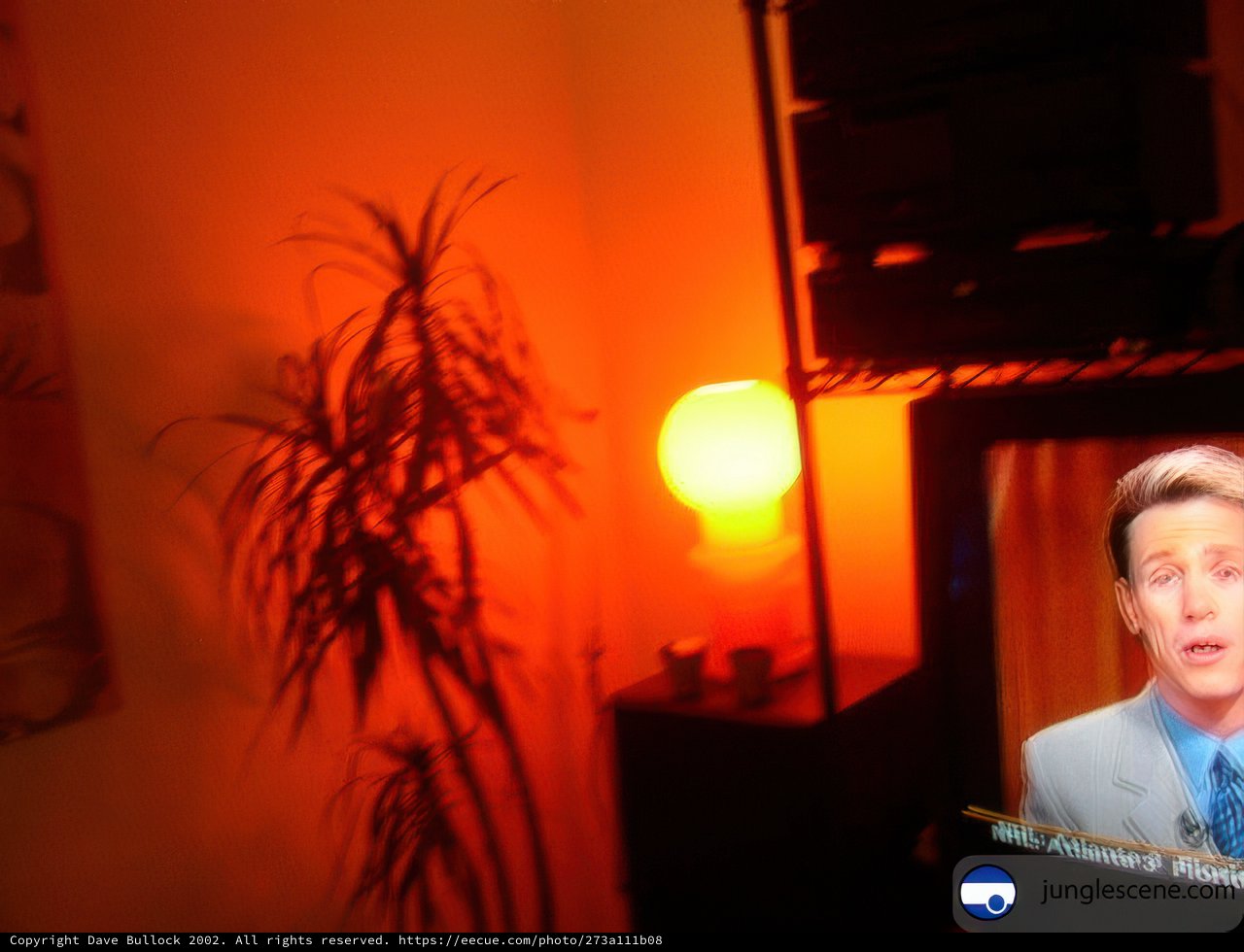 Man in the Screen