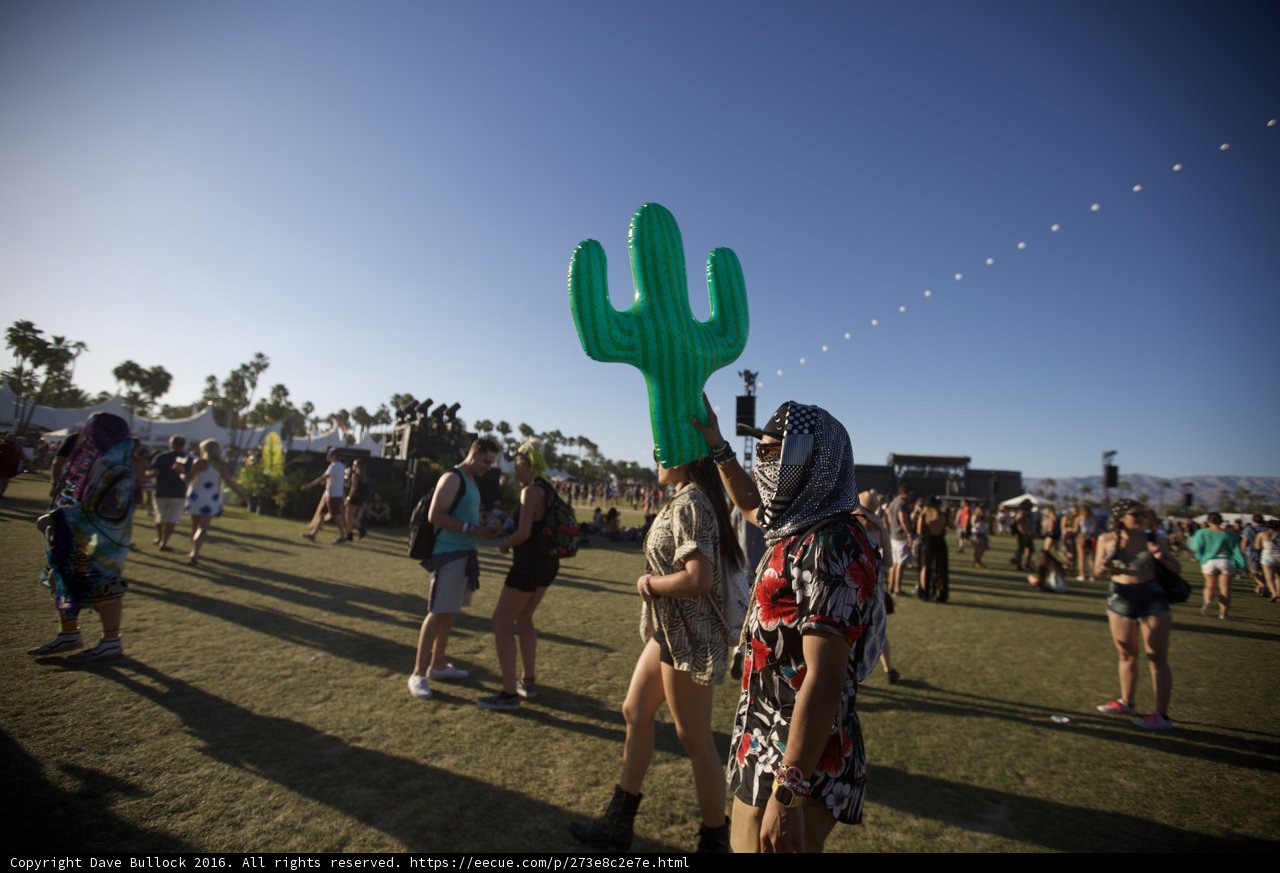 Coachella Vibes