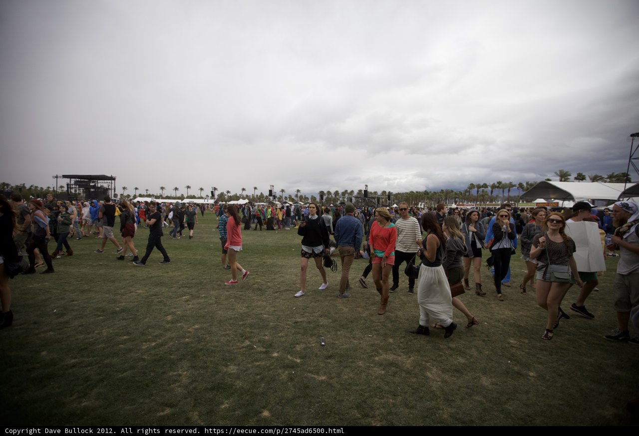Enjoying the Music in the Grass
