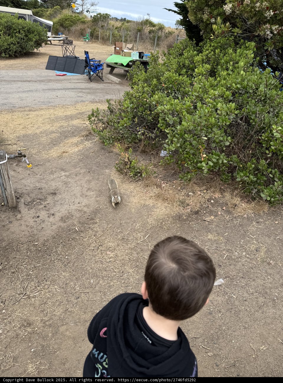 Curious Encounters in Cambria