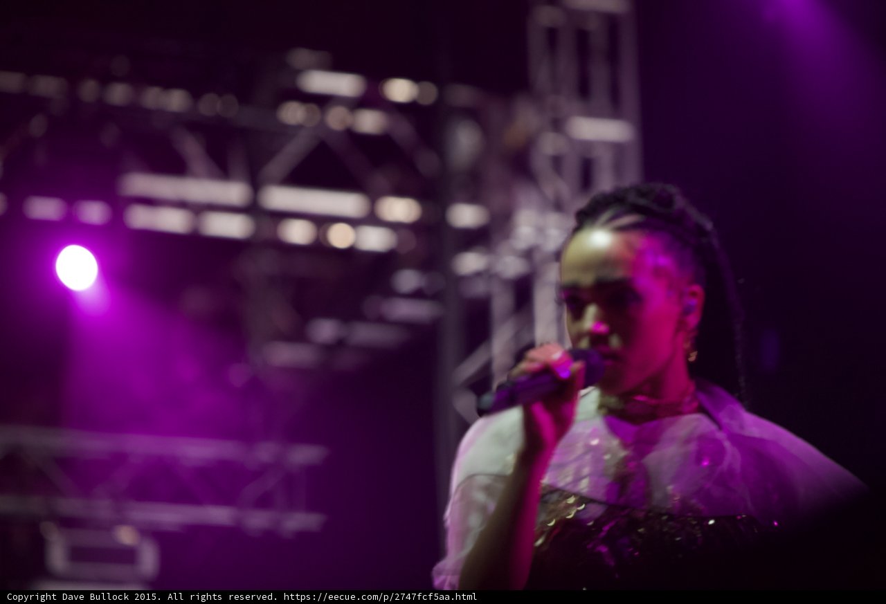 Purple Spotlight