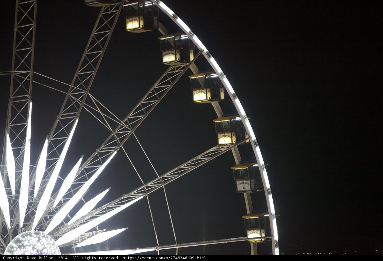 Lights Up the Night sky