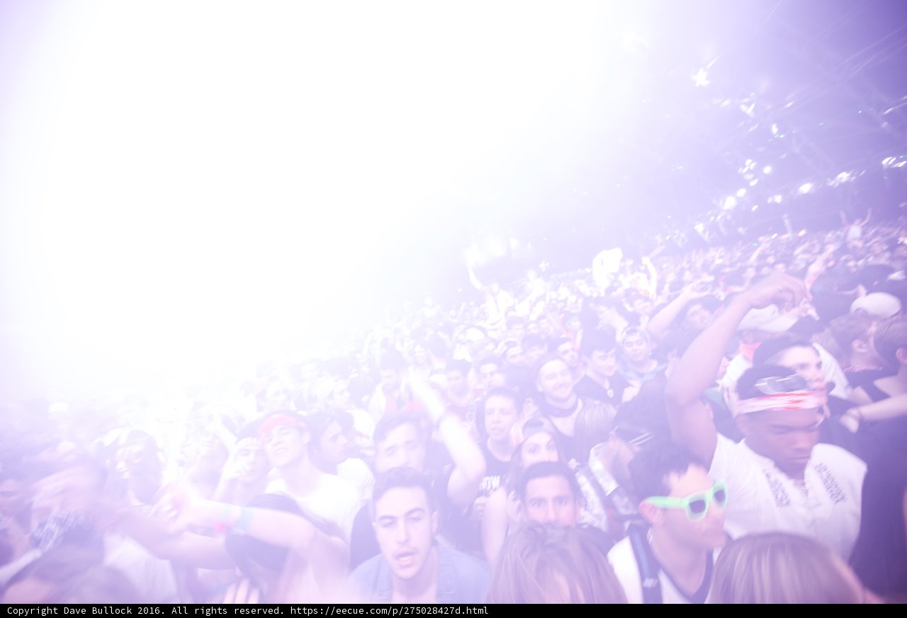 Party Vibes at Coachella
