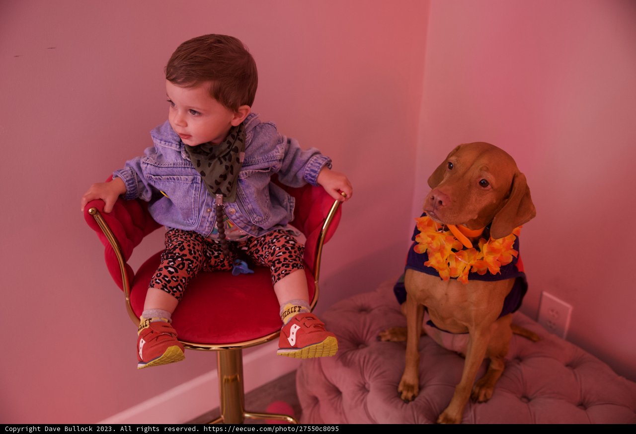 A Toddler's Best Friend