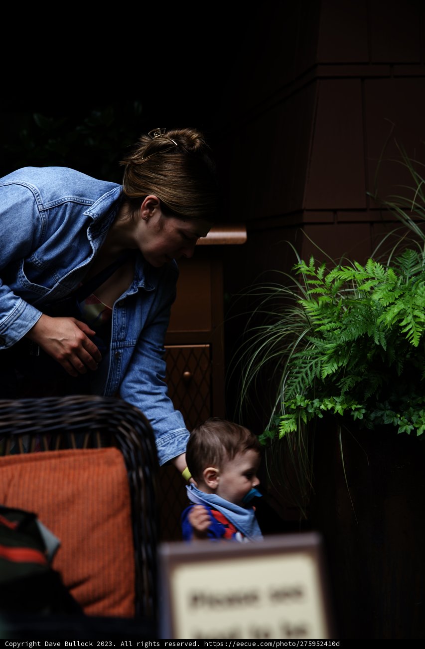 Magical Family Moments at Disneyland