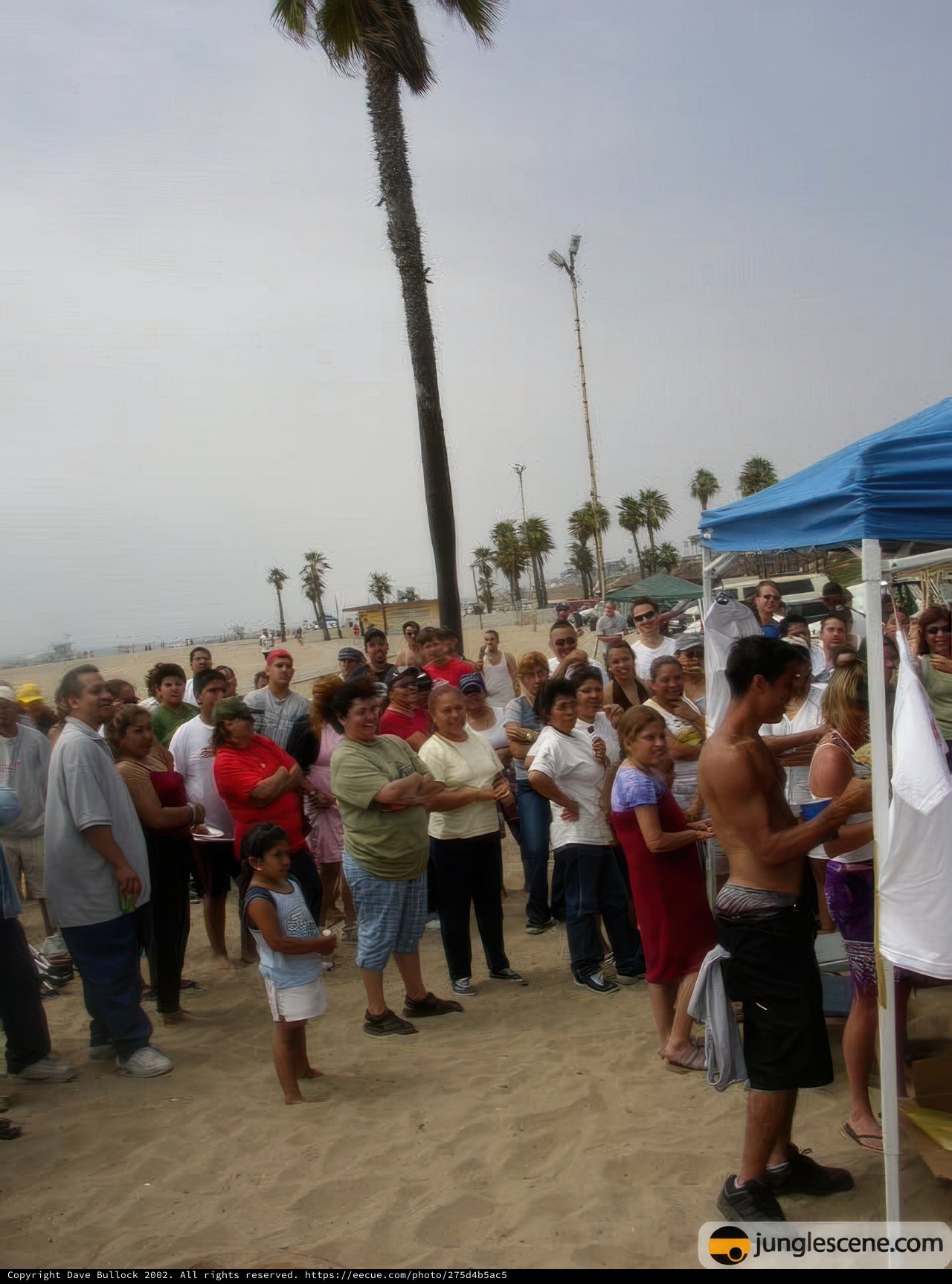 Summer BBQ by the Palm Trees