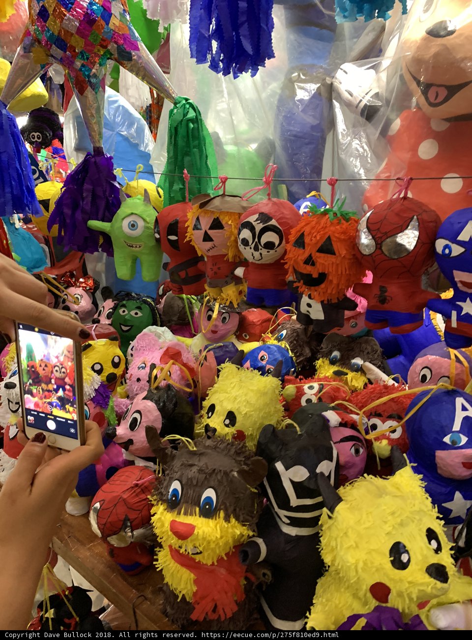 Stuffed Animal Snapshot