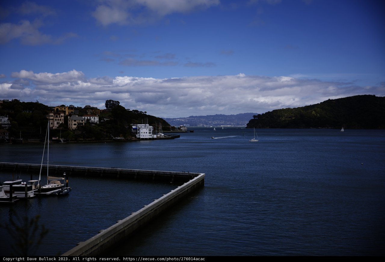 Serene Harbor in Tiburon