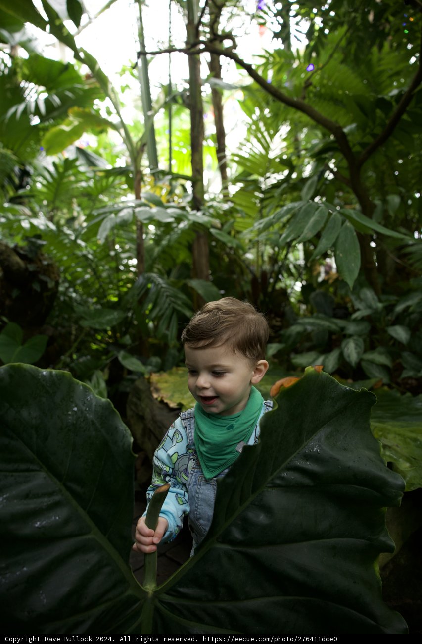 In the Heart of Nature: A Boy's Adventure at Golden Gate Park