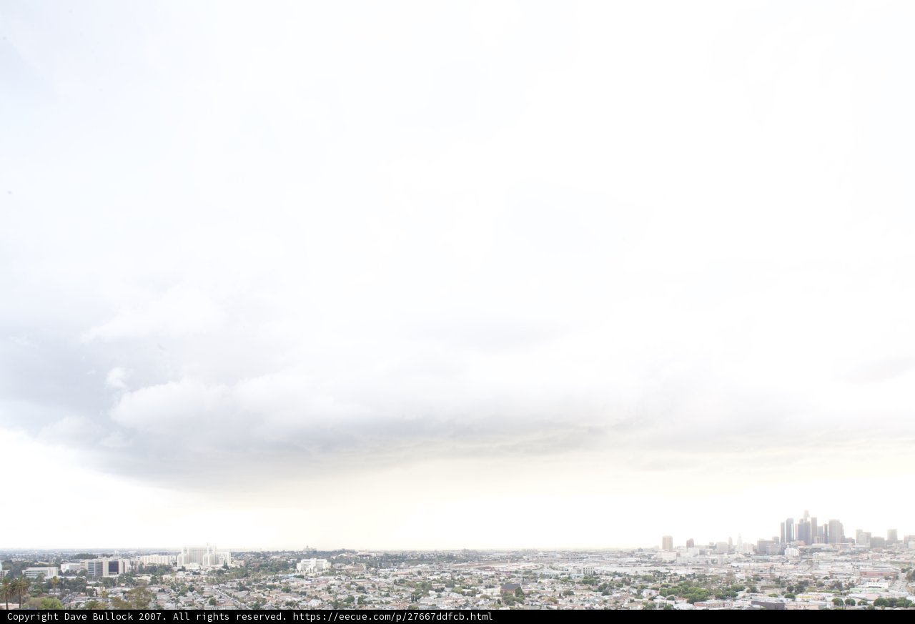 Flying High in the City