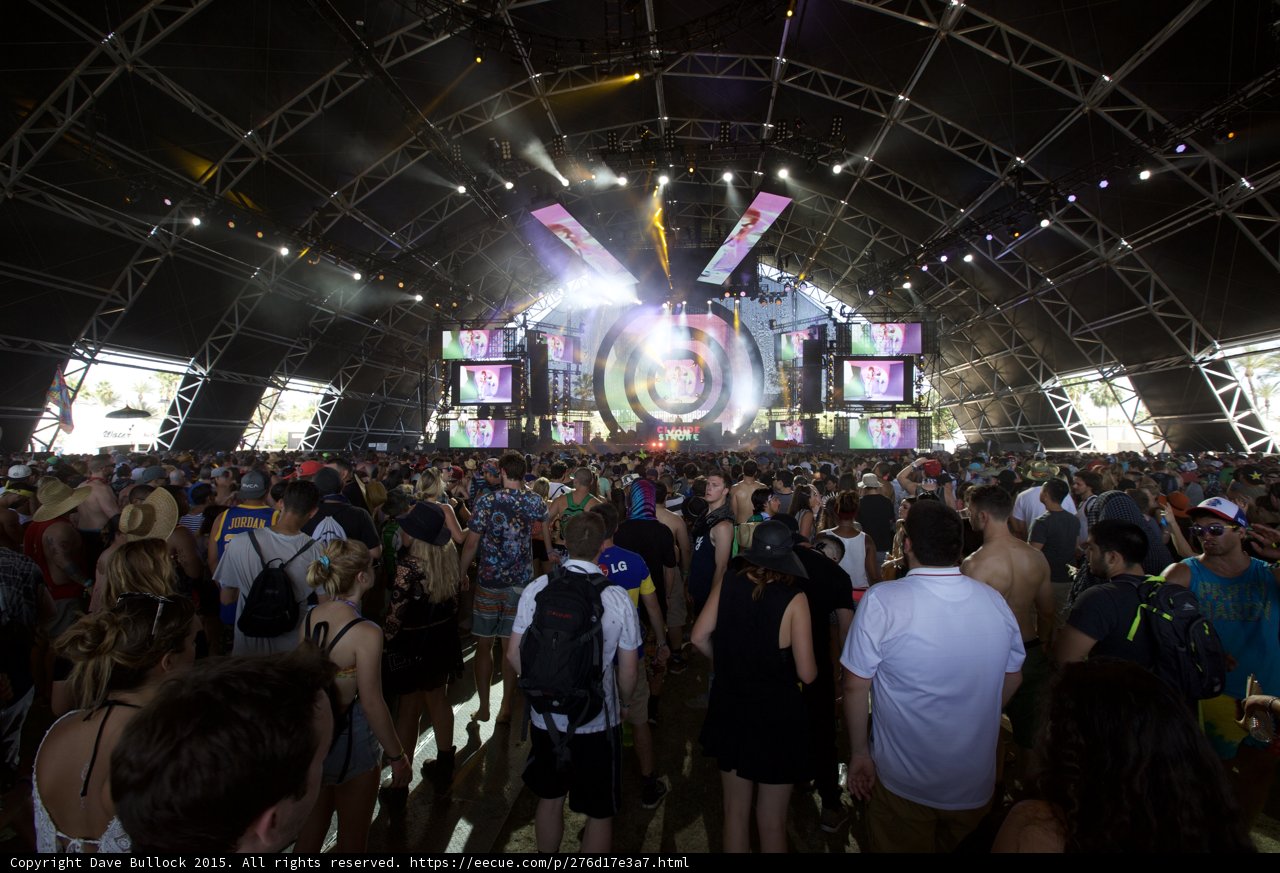 Music Festival Madness