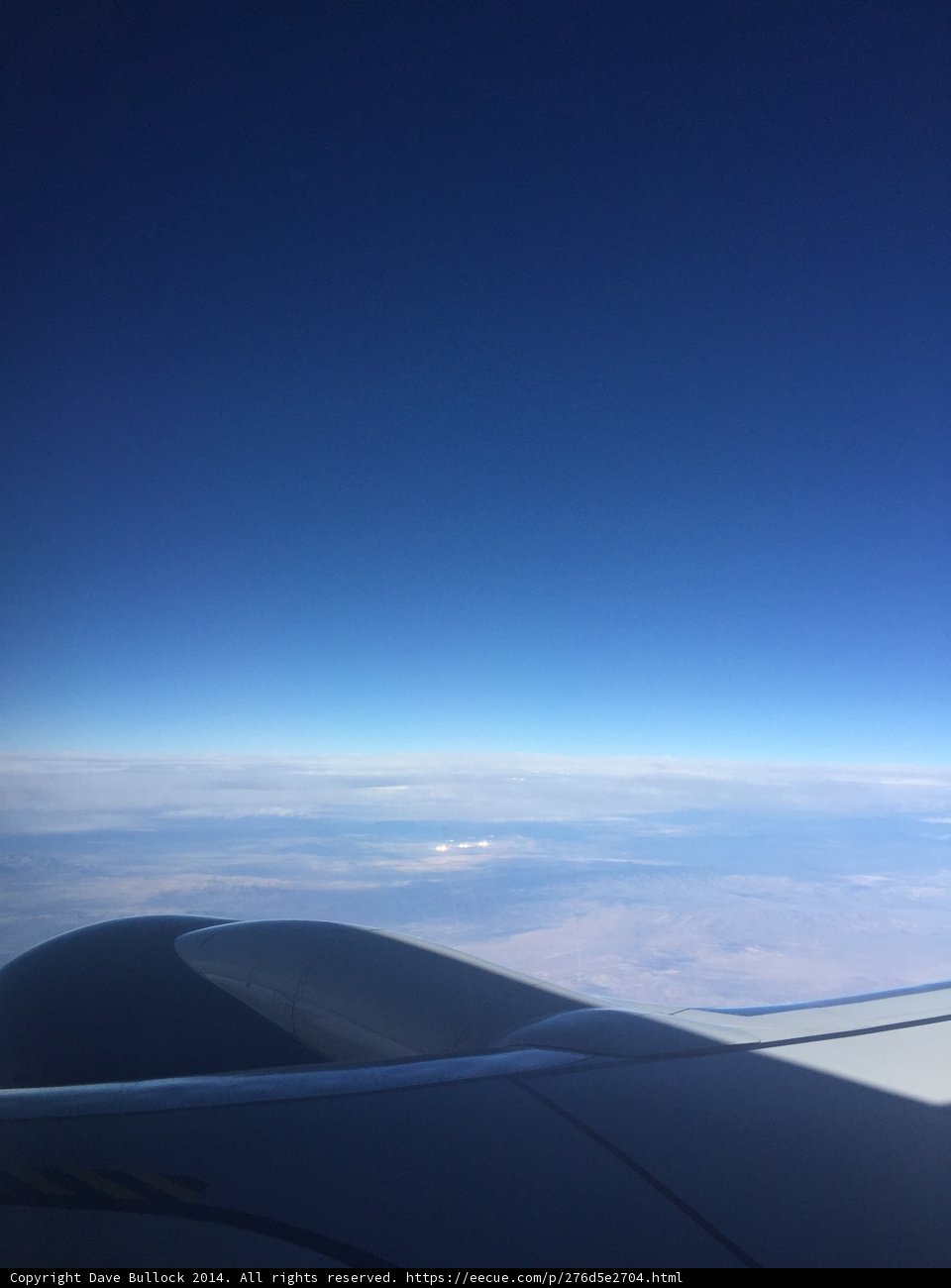 A Wing's-Eye View