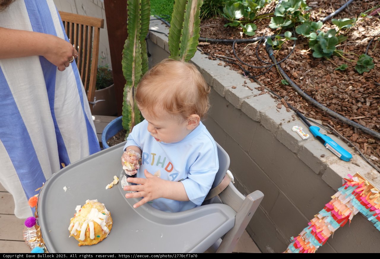 First Birthday Delight