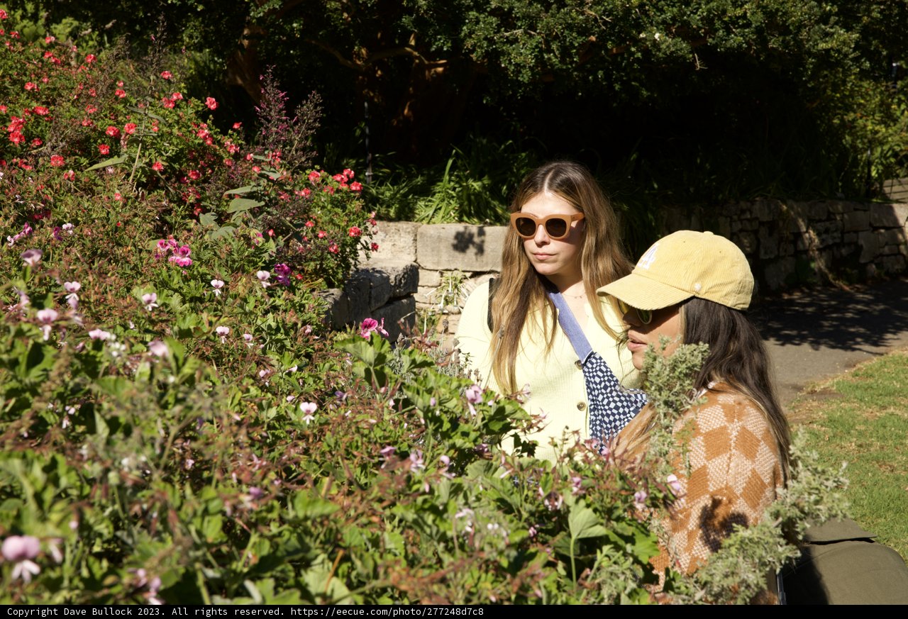 Garden Delights: A Day at San Francisco Botanical Garden