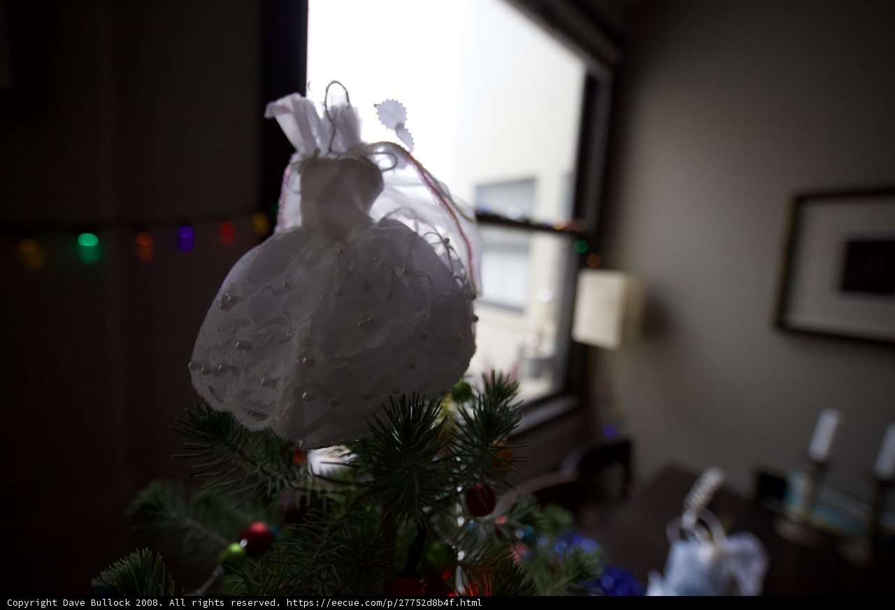 A Festive Dress for the Tree