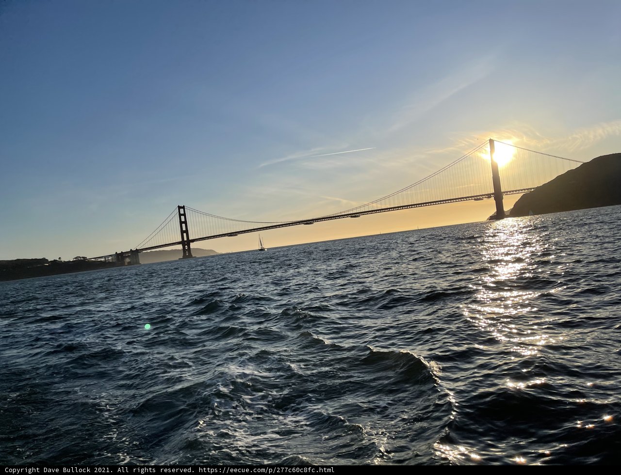 Golden Beauty in San Francisco