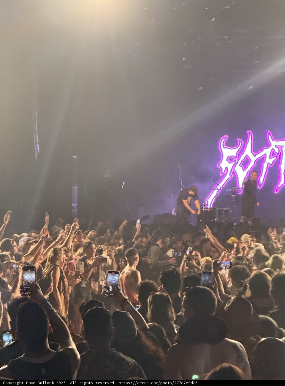 Electric Vibes Under the Stars