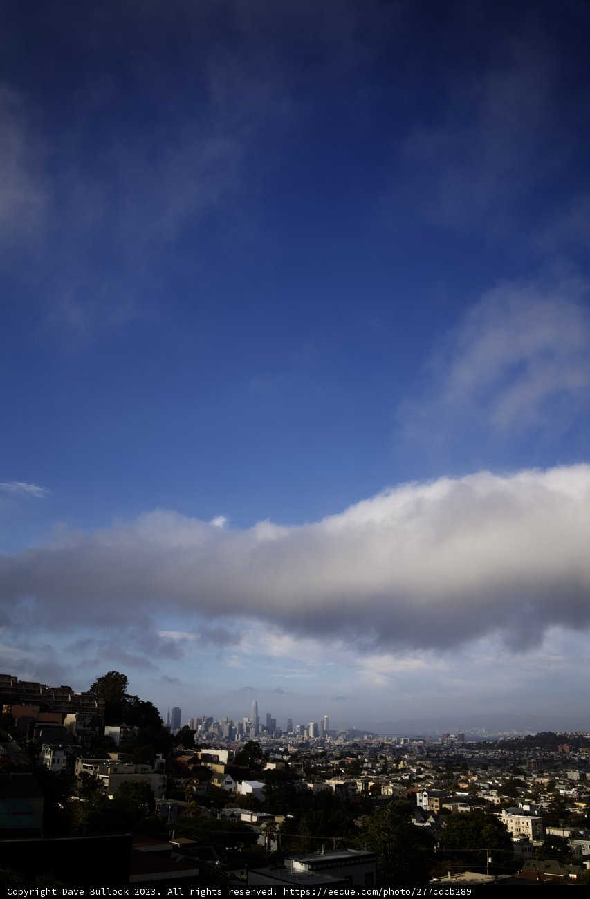Hilltop Perspective: San Francisco Cityscape